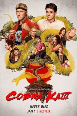 Download Cobra Kai Season 3 (2021) Dual Audio {Hindi-English} 480p | 720p