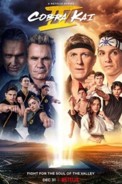 Download Cobra Kai Season 4 (2021) Dual Audio {Hindi-English} WEB-DL 480p | 720p