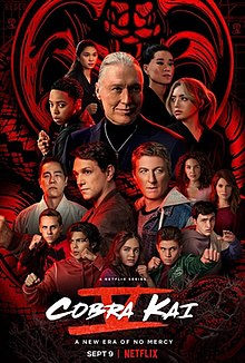 Download Cobra Kai Season 5 (2022) Dual Audio {Hindi-English} 480p | 720p