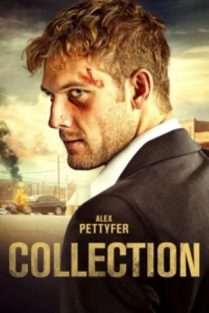 Download Collection (2021) Dual Audio {Hindi-English} BluRay 480p | 720p | 1080p