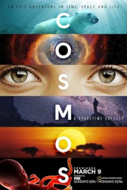 Download Cosmos: A Spacetime Odyssey (Season 1 ) {Hindi Dubbed} WeB-HD 720p