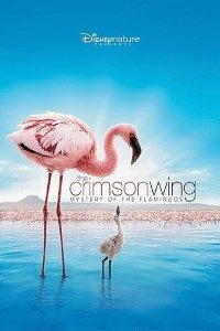 Download The Crimson Wing: Mystery of the Flamingos (2008) Dual Audio [Hindi + English] Full Movie 480p | 720p | 1080p