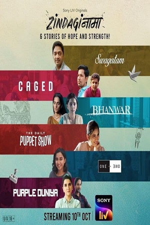 Download Zindaginama Season 1 (2024) Complete Hindi WEB Series WEB-DL 480p | 720p | 1080p