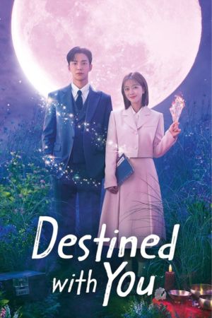 Download Destined With You – Netflix Original (Season 1) Dual Audio {Hindi-Korean} 480p | 720p | 1080p WEB-DL