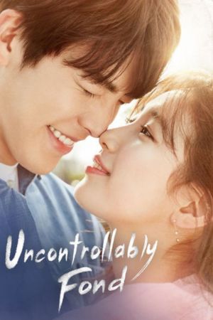 Download Uncontrollably Fond (Season 1) Dual Audio {Hindi-Korean} WeB-DL 720p