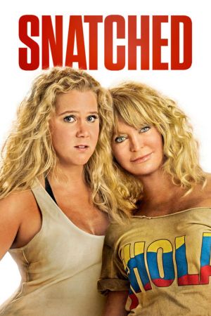 Download Snatched (2017) Dual Audio {Hindi-English} 480p | 720p