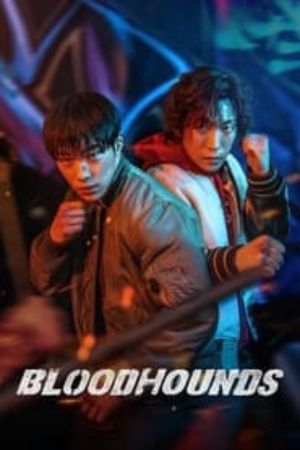 Download Bloodhounds (Season 1) Multi Audio {Hindi-English-Korean} WeB-DL 480p | 720p