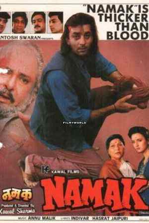 Download Namak (1996) Hindi Movie AMZN WebRip 480p | 720p | 1080p