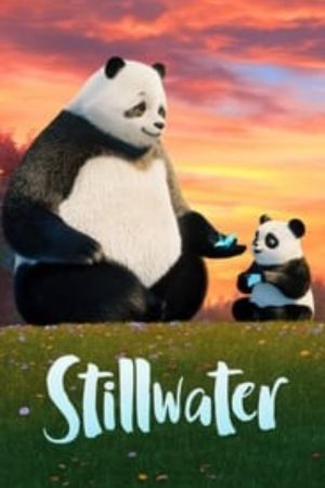 Download Stillwater (Season 1-3) {Hindi-English} WeB-DL 720p | 1080p