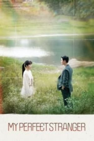 Download My Perfect Stranger (Season 1) Kdrama {Korean With Subtitles} WeB-DL 720p | 1080p