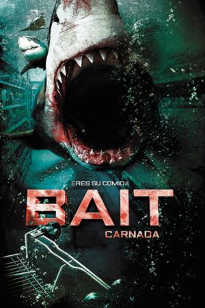 Download Bait (2012) Dual Audio [Hindi + English] BluRay 480p | 720p | 1080p