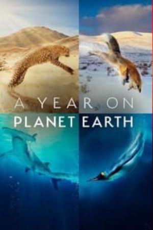 Download A Year on Planet Earth Season 1 (2022) (English with Subtitle) WeB-DL 720p | 1080p