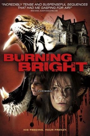 Download Burning Bright (2010) Dual Audio {Hindi-English} Movie 480p | 720p BluRay ESub