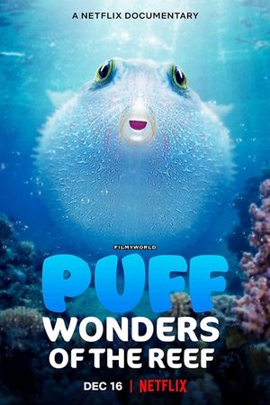 Download Puff: Wonders of the Reef (2021) Dual Audio {Hindi-English} 720p HEVC HDRip