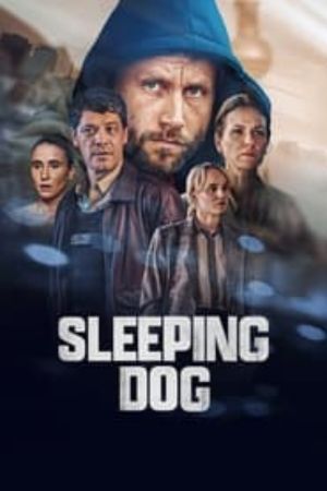 Download Sleeping Dog (Season 1) Multi Audio {Hindi-English-German} WeB- DL 720p | 1080p